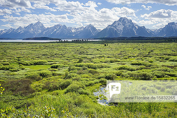 Willow Flats with Teton Range and Jackson Lake in the distance