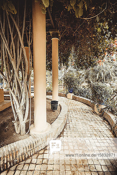 Detail der Majorelle-Gärten in Marrakesch