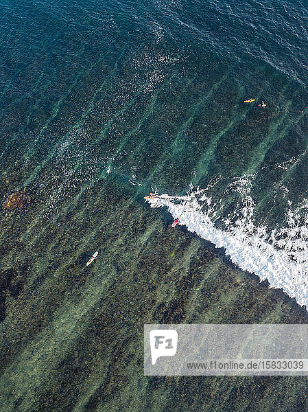 Luftaufnahme von Surfern im Meer