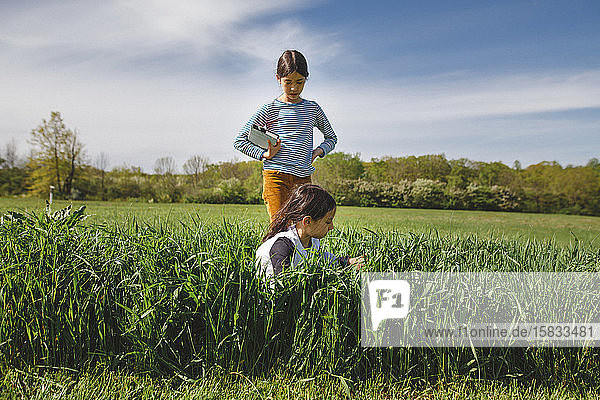 zwei junge Mädchen spielen zusammen im hohen Gras an einem schönen Frühlingstag