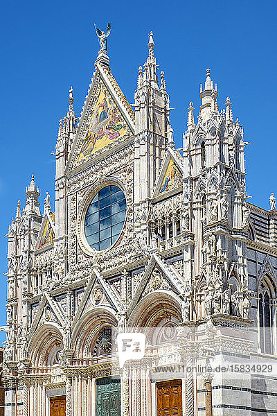Fassade des Doms von Siena (Kathedrale von Siena)  Siena  Toskana  Italien
