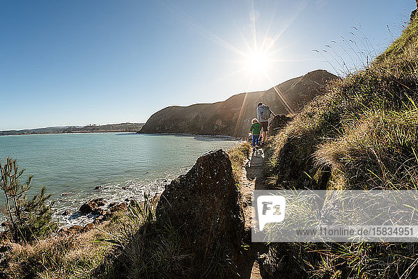 Vater und kleiner Sohn wandern auf Bergpfad über dem Meer in Neuseeland