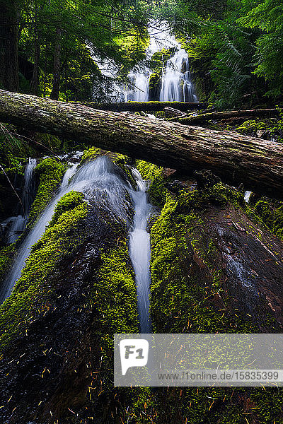 Landschaft des Upper-Proxy-Wasserfalls in Oregon