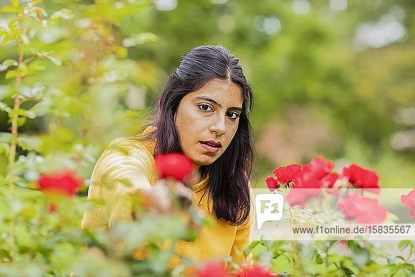 junge Frau beim Rosenschneiden