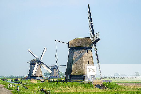 Windmühlen auf Poldern in der Nähe des Dorfes Schermerhorn  Niederlande