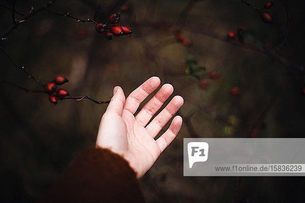 Unrecognizable female hands in bright brown coat in autumn