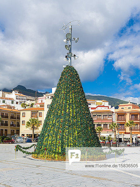 Weihnachtsbaum auf der Plaza de la Patrona de Canarias bei der Basilika