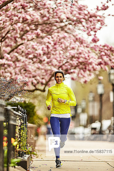 Eine Frau rennt auf einer Straße in Boston  MA  an einem blühenden Baum vorbei.
