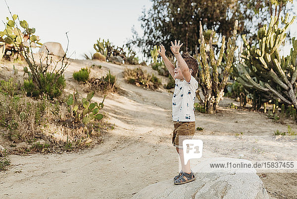 Preschool aged boy standing on rock in cactus garden with arms raised