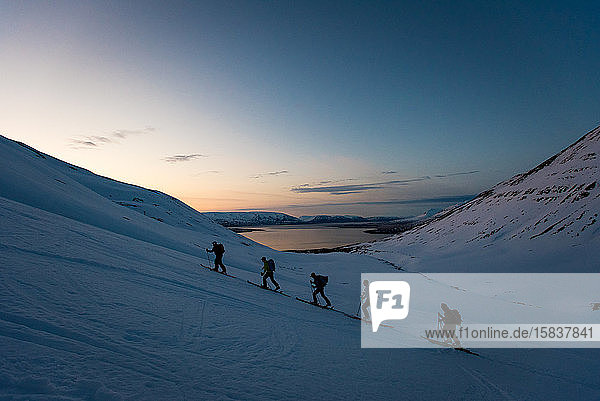 Gruppenskitouren in Island bei Sonnenaufgang