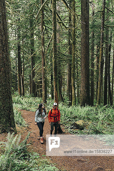 A young couple enjoys a hike on a trail in the Pacific Northwest.