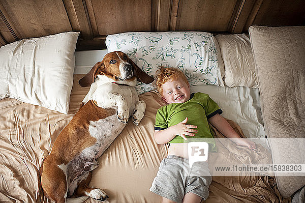 Toddler boy waking up with basset hound dog next to him at home in bed
