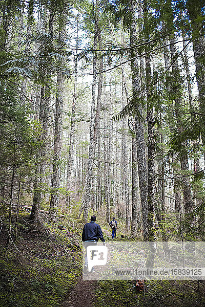 Casual hikers exploring Mount Baker National Forest