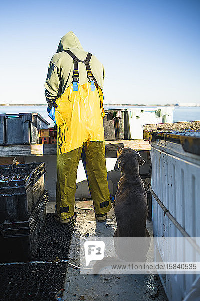 Bootshund hofft  Köderfisch auf Muschelboot zu bekommen