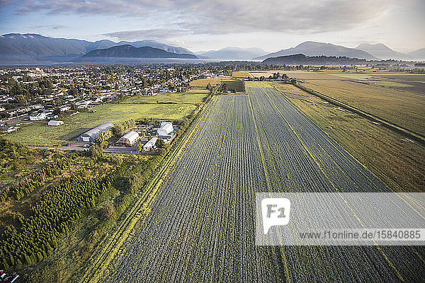 Luftaufnahme von Farmfeldern in Chilliwack  Britisch-Kolumbien.