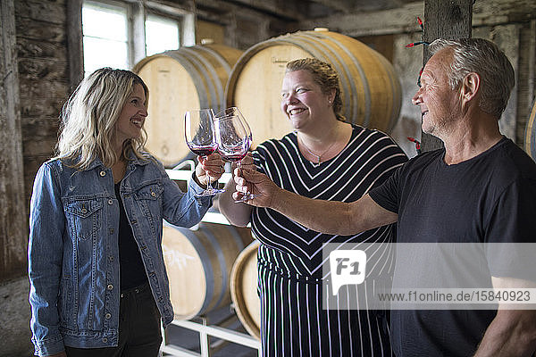 Eine Gruppe von drei Personen trinkt während der Weinverkostungstour ihr Glas.