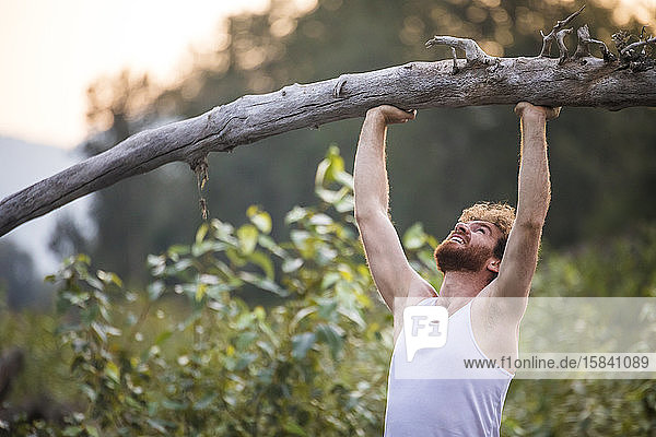 Die Schulter des Mannes drückt einen umgefallenen Baum draußen in der Turnhalle der Natur.