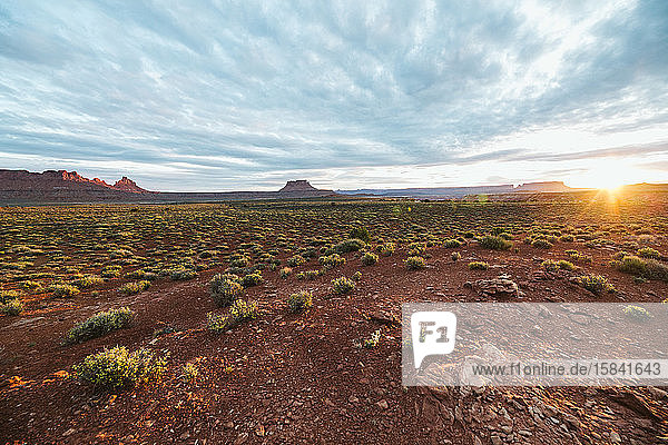 morning light rises over the shrub desert and red rock of Canyonlands