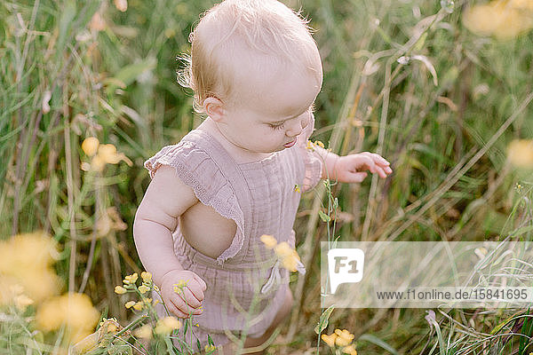 Baby Girl Exploring nature in Summer