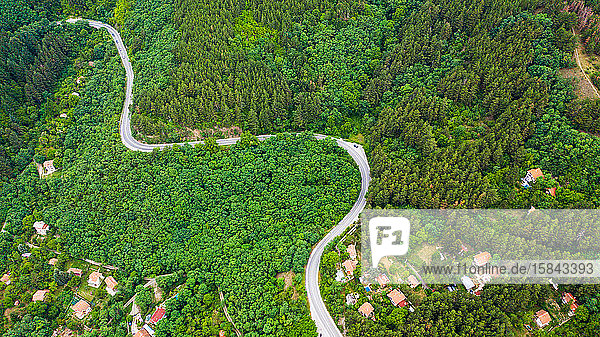 Luftaufnahme der kurvenreichen Straße durch den dichten Wald.