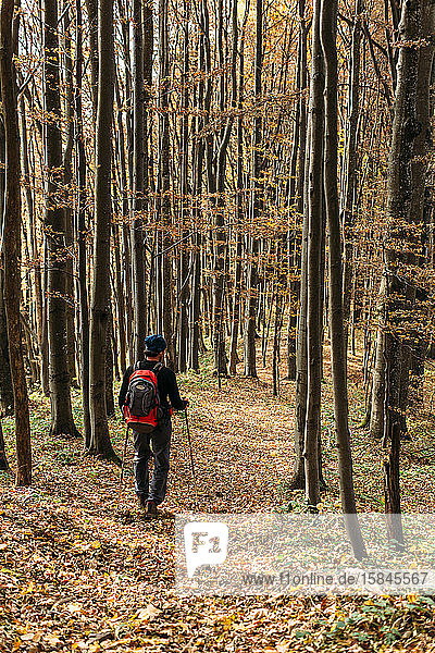 Ein Mann wandert im Herbstwald