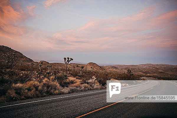 Windige Straße um die Mojave-Wüste des Joshua-Baum-Nationalparks bei Sonnenuntergang