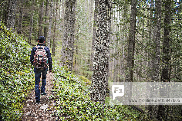 hiking on trail in the Mount Baker National Forest