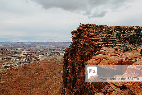 Mann allein in weiter Ferne auf großem Felsvorsprung über Canyonland stehend