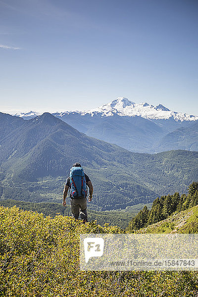 Hiking in alpine meadows with view of Mount Baker  Washington.