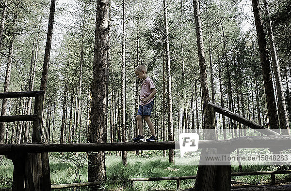 Junge spielt  geht draußen im Wald über einen hohen Baumstamm