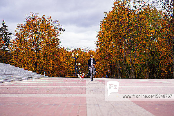 Eine Frau geht mit einem Cavalier King Charles Spaniel im Park spazieren.
