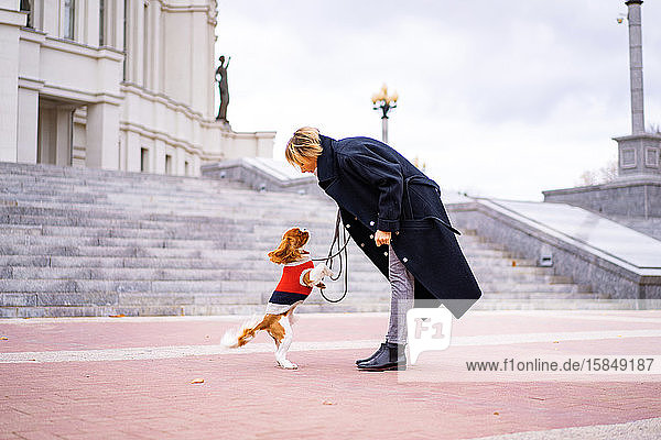 Frau auf dem Spaziergang mit einem Cavalier King Charles Spaniel Hund