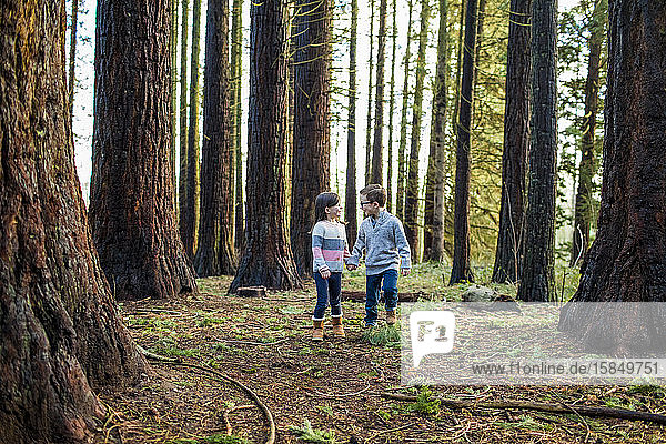 young kids holding hands in the forest.