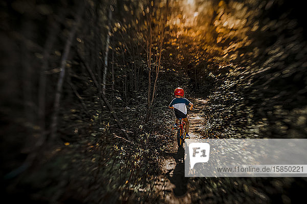 7 Jahre alter Junge auf einem Fahrrad auf einem Waldweg bei Sonnenuntergang