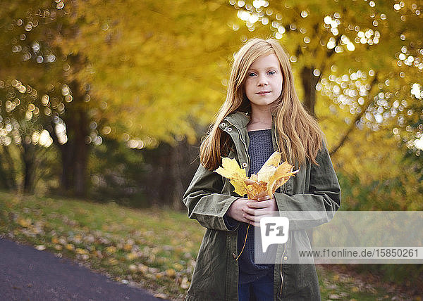 Schönes rothaariges Mädchen hält Herbstlaub im Freien