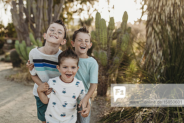 Porträt von drei jungen Brüdern  die im sonnigen Kaktusgarten lachen