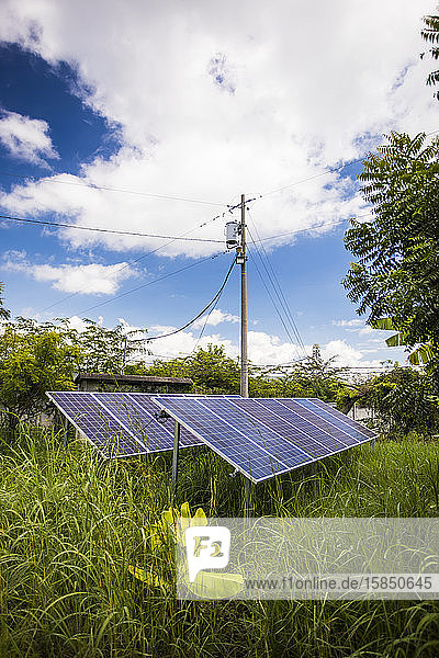 Sonnenkollektoren speisen Energie in das Stromnetz ein.