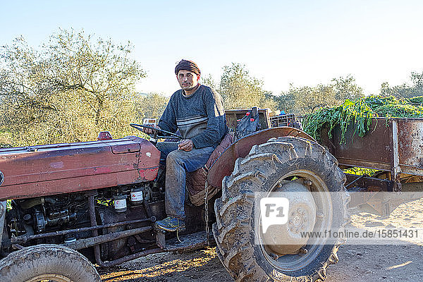 Palästinensischer Landwirt auf einem Traktor  Burqin  Jenin  Westjordanland  Palästina