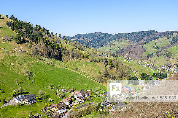 Gebirgslandschaft im oberen MÃ¼nster Tal im zeitigen Frühjahr  Breisgau-Hochschwarzwald  Baden-WÃ¼rttemberg  Deutschland