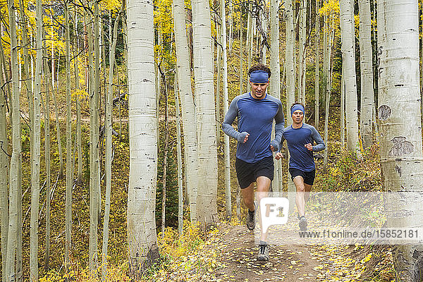 Men trail run through aspen forest with fall color in Vail  Colorado