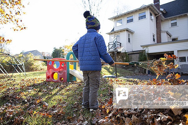 Rear view of anonymous young boy raking leaves in yard behind home