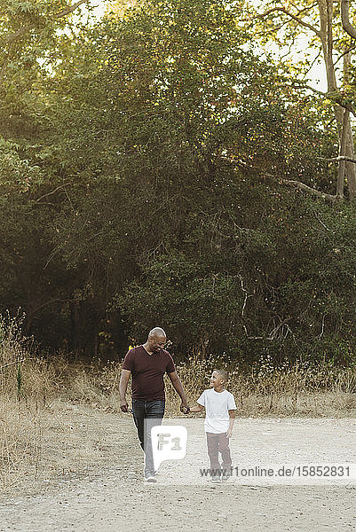 Glückliche Vater und Sohn halten sich an den Händen und gehen auf dem Feld