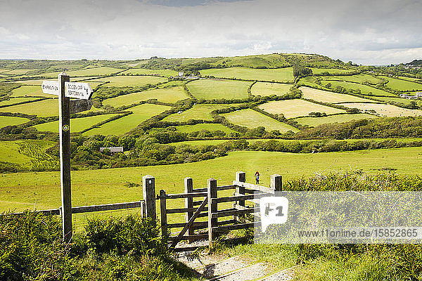 Ein Abschnitt des South West Coast Path in der Nähe von Charmouth in Dorset  Großbritannien  mit typischer Dorset-Hügellandschaft.