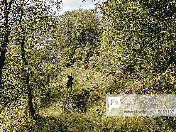 Frau wandert auf einem Graspfad im Wald von Schottland