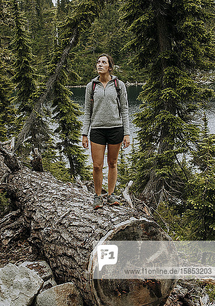 Eine Wanderin mit einem Pullover steht auf einem riesigen Baumstamm in der Nähe eines Sees