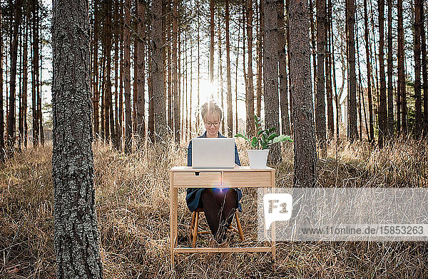 reisende Frau  die in einem friedlichen Wald an einem Laptop und Schreibtisch arbeitet