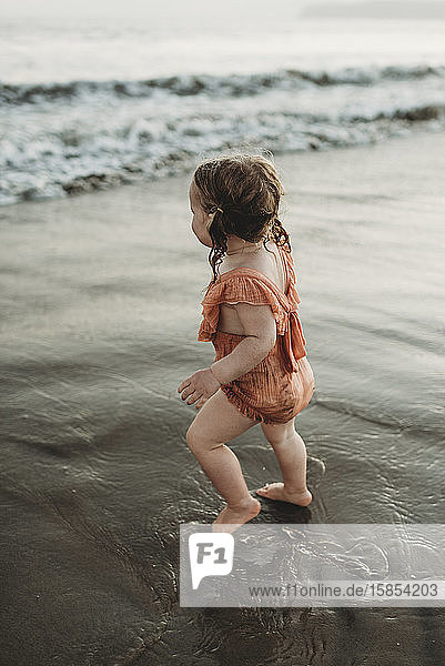 Young toddler girl with pigtails walking into the ocean