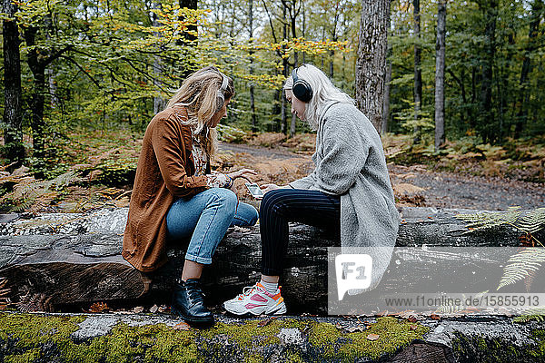 Zwei junge Erwachsene sehen sich in einem abgelegenen Wald ein Video auf einem Smartphone an