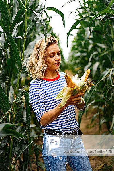 Junge Frau in ausgezogenem Veshemd in einem Maisfeld  die den Mais aufhebt.