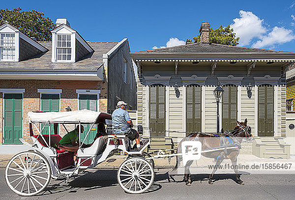 Pferdekutsche und Gebäude auf Bourbon St.  New Orleans  Louisiana  Vereinigte Staaten